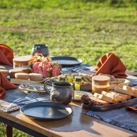 Gnu Mara River Camp