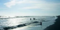 Playa Esperanza Resort Hotels in Општина Елота