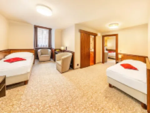 Hotel Zlatá hvězda Hotels in Trebon