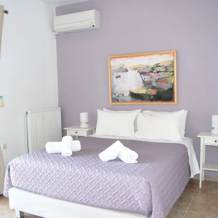 Chrysiida Suites