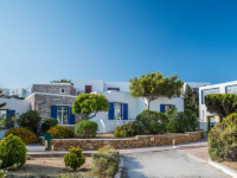 Naxos Palace Hotel Hotels in Stelida