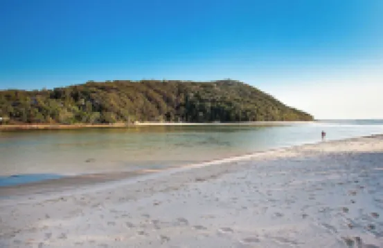 Little Palms by Burleigh Letting Co