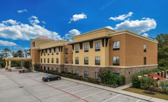 Comfort Suites Old Town Spring