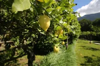 B&B Villa Catiè Hotel di 