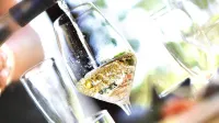 La Locanda Francigena Hotel di Capannori