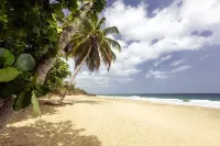 Le Grand Courlan Spa Resort - Adults Only - Strand