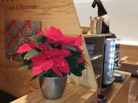 فلوكنر بد آند بريكفاست Hotels near شالموس