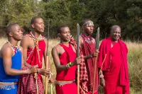 Hammerkop Migration Camp Hotels in Mara