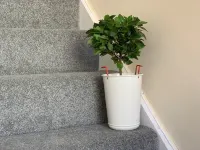 Buccleuch Apartment - 2-Star