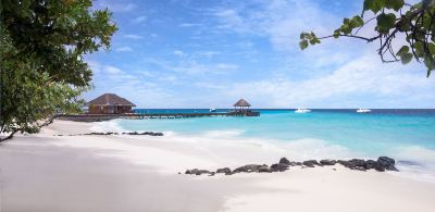 プライベートビーチ タージ コーラル リーフ リゾート&スパ モルディブの写真