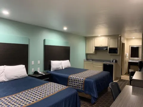 스코티시 인 화이트 세틀먼트