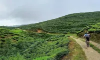 Hotel Hillside Kanyam Hotels in Pashupatinagar