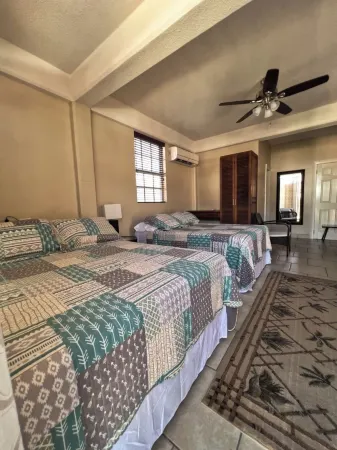 Timbo's Apartelle Отели в г. Канфилд