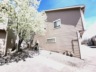 Casa de gato