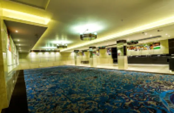 Hotel Piccadily Raipur