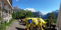 Hotel Bellevue - Traditional Swiss Hideaway Hotels in Wengen