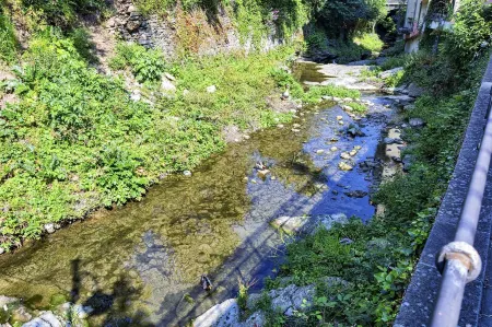 Comfy and Quiet in Camogli by Wonderful Italy