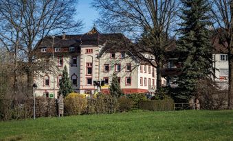 Living Timeless - Adler Apartments Sasbachwalden