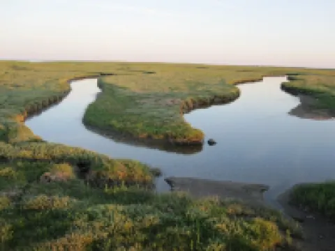 Reethaus Seeschlößchen, apartment Lachmöwe, only 200m to the beach