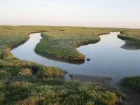 Reethaus Seeschlößchen, apartment Lachmöwe, only 200m to the beach
