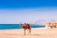 Sul Apartment Hurghada Hotel a 