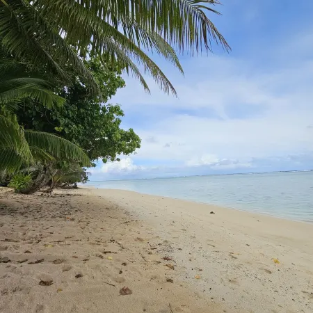 Ann's Beach House Отели в г. Такитуму Дистрикт