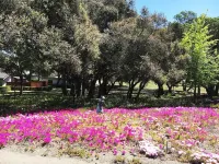 Secluded wine country retreat,  full kitchen