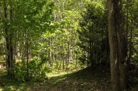 Aux portes de L'île Hotels in L'Ile-d'Orleans