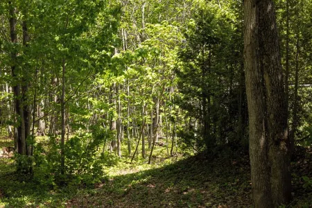 Aux portes de L'île Отели в г. Л'Иль-д'Орлеан