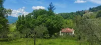 In the greenery and silence