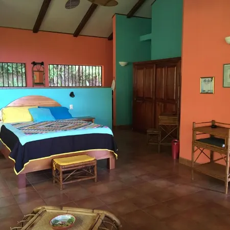Casa Toucan: Private Jungle Setting with Ocean-View and 40 Foot Pool