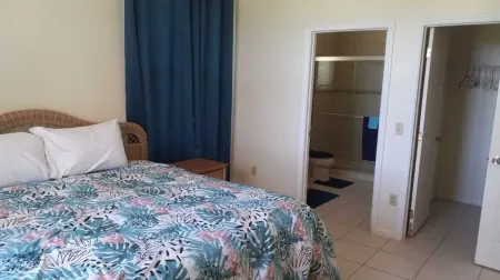 Ocean Front Conch Shell-Green Turtle Cay with a Dock- 25% Fall Discount!