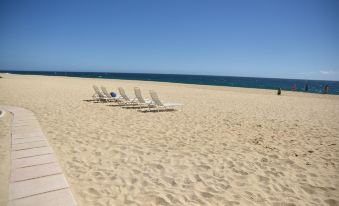 Cabo San Lucas Oceanfront Beach - 0225e12000llas6l04277 R 339 206 R5 D