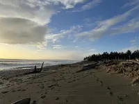 Oceanfront, newly built, modern tiny home with beach access!
