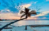 Bahama Beach Club in Paradise, Treasure Cay Beachfront, ground floor condo Hotels in Great Abaco