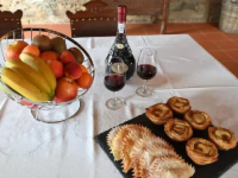 Old house restored in Douro, 5 km from Vila Real. Comfort and tranquility. Hotels in Vila Real