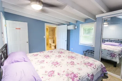 Oceanview PRIVATE Cottage Steps to Cane Bay Beach-Starfish at the Landing Hotel a