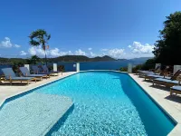 Stunning Estate on almost 2 acres with down island views of St John and the BVI - Villaer