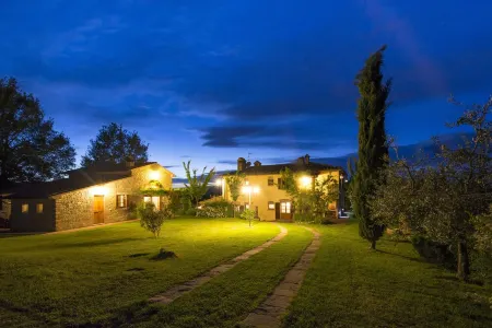 Old farmhouse surrounded by olive groves, near the village, 5 places, floor1,with swimming pool
