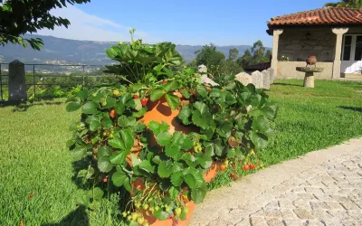 Quinta do Coto Moinho - vineyard house Igreja Matriz附近的飯店