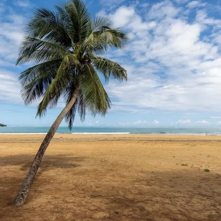 Pineapple Beach Villa-Apartment in fabulous Rio Grande with WiFi, AC