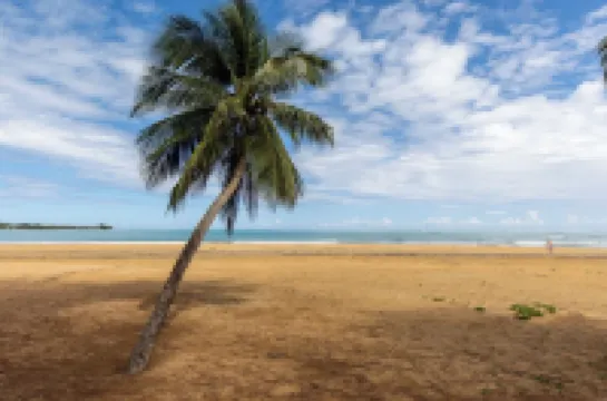 Pineapple Beach Villa-Apartment in fabulous Rio Grande with WiFi, AC サルサルのホテル