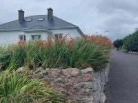 Ard an Phíobaire - 2 Sao