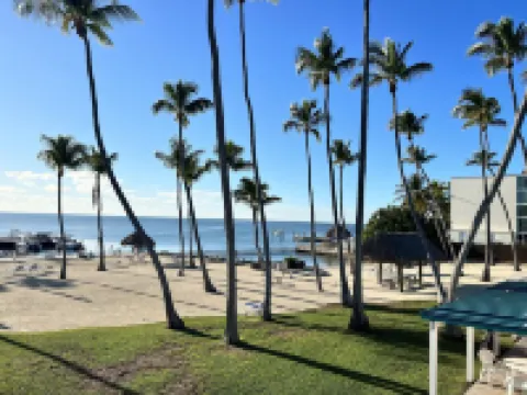 Breezy Palms Resort Hotels in Islamorada