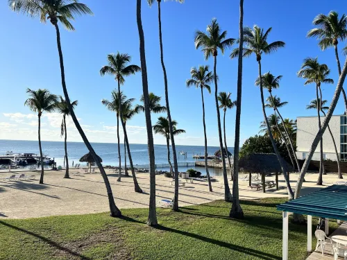 บรีซี่ปาล์มสรีสอร์ท