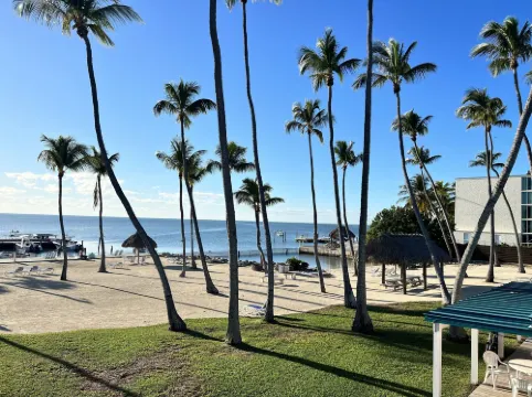 브리지 팜 리조트