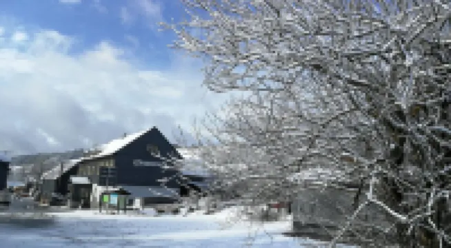 Gasthaus & Pension am Rennsteig 酒店