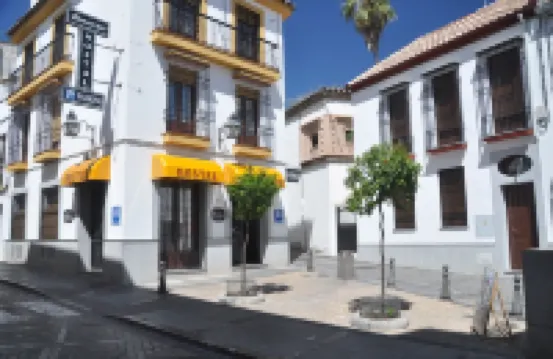 Hostal Almanzor Hotels near Calleja de las Flores