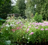 Burleys Gardens and Suite