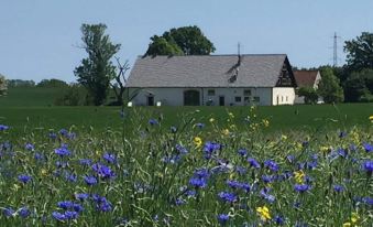 HotelBorrby